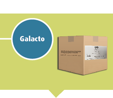 Galacto - Production de lait