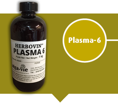 Plasma 6 - Pneumonie et mycoplasme